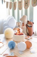 5 Cake toppers Gâteau Ours