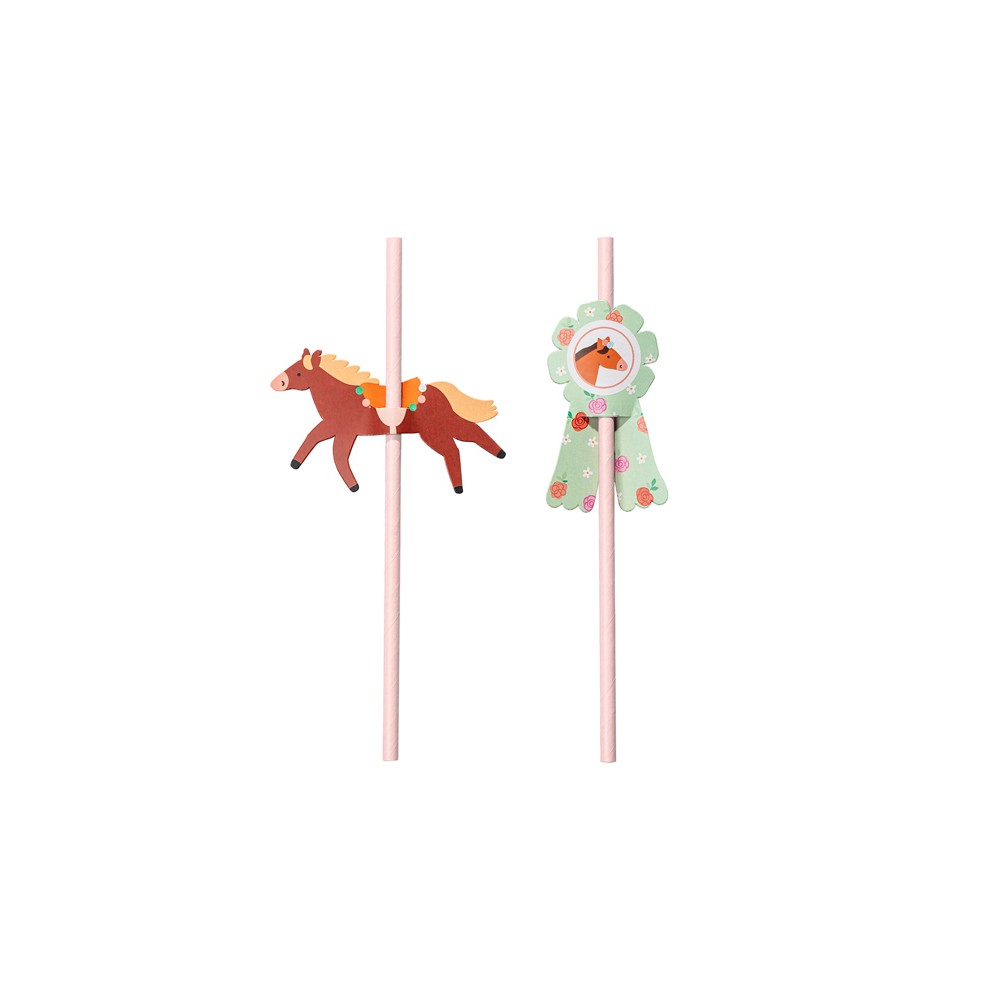 6 Pailles - - cheval