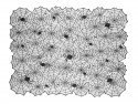 Nappe toile d'araignée
