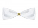 10 Anneaux en papier pour serviettes de table - or