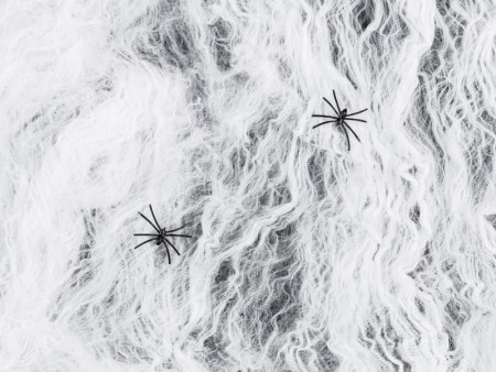 Toile d'araignée blanc -...