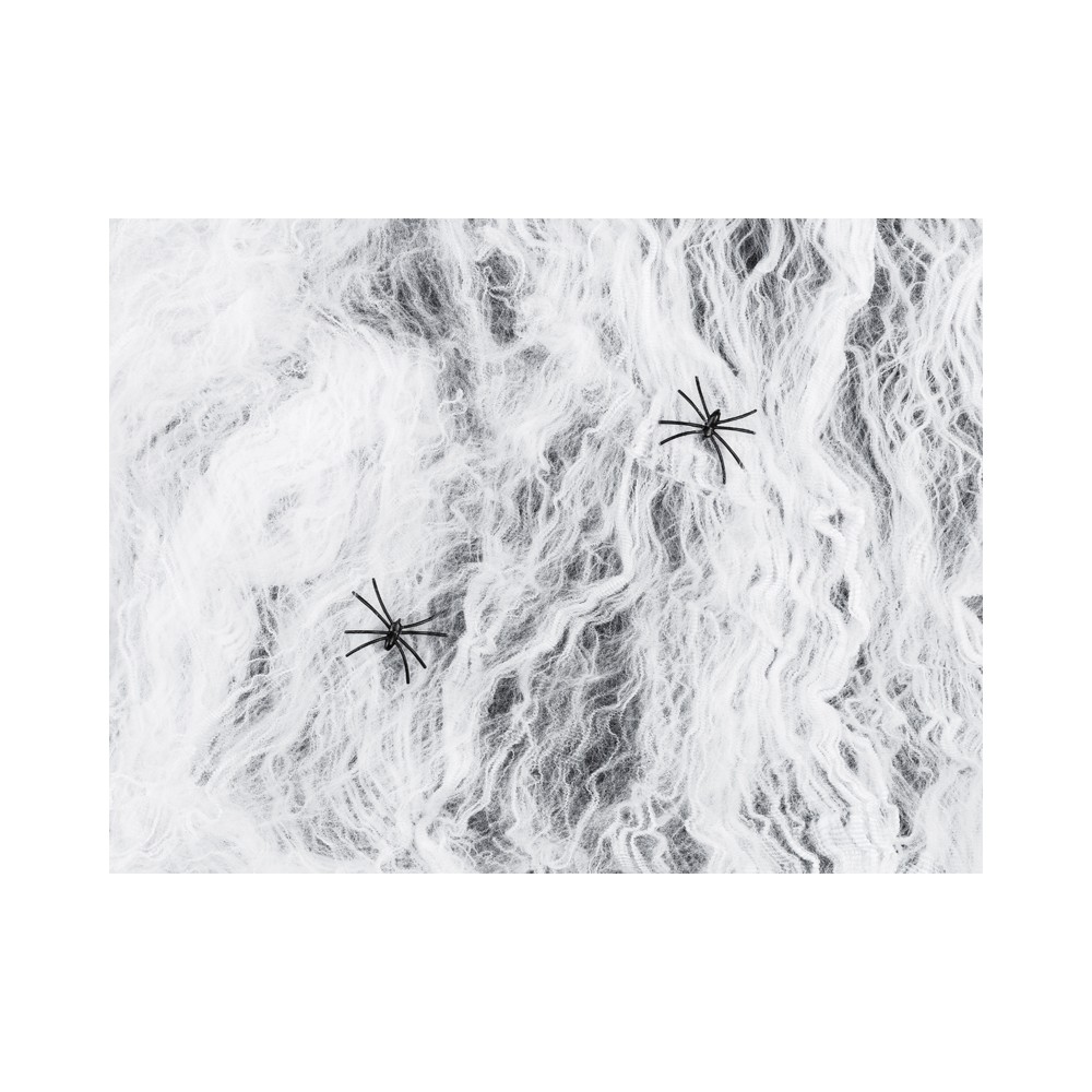Toile d'araignée blanc - blanche