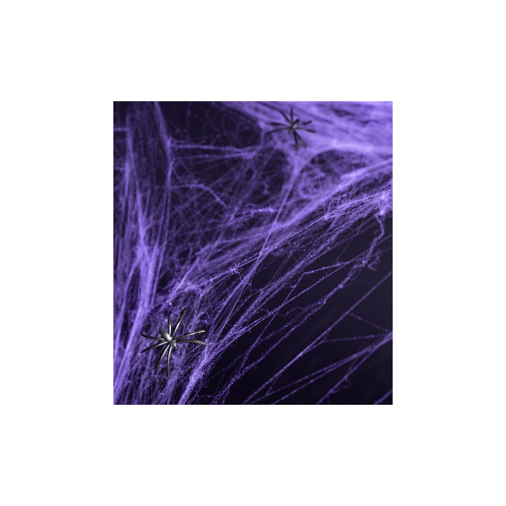 Toile d'araignée d'Halloween - violette