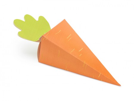 6 Boîtes Carottes