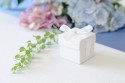 10 Boîtes avec un ruban - blanc