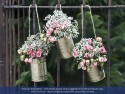 5 Boîtes de conserve décoratives - ores