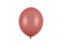 100 Ballons Strong 23 cm - Bourgogne Pastel