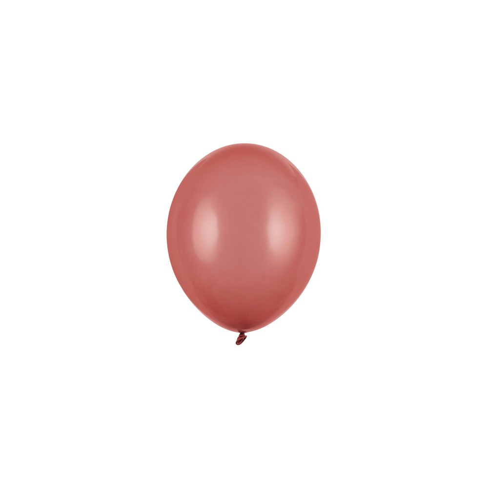 100 Ballons Strong 23 cm - Bourgogne Pastel