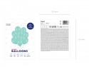 10 ballons pastel menthe - 27 cm