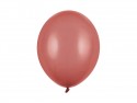 100 Ballons Strong 30 cm - Bourgogne Pastel