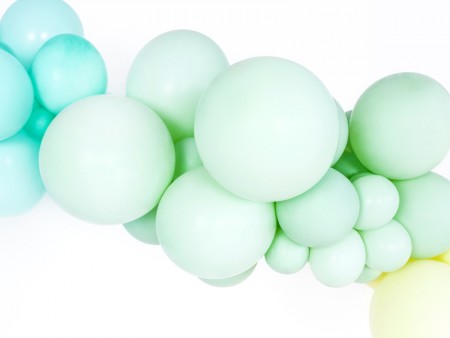 50 Ballon Strong 30 cm -...