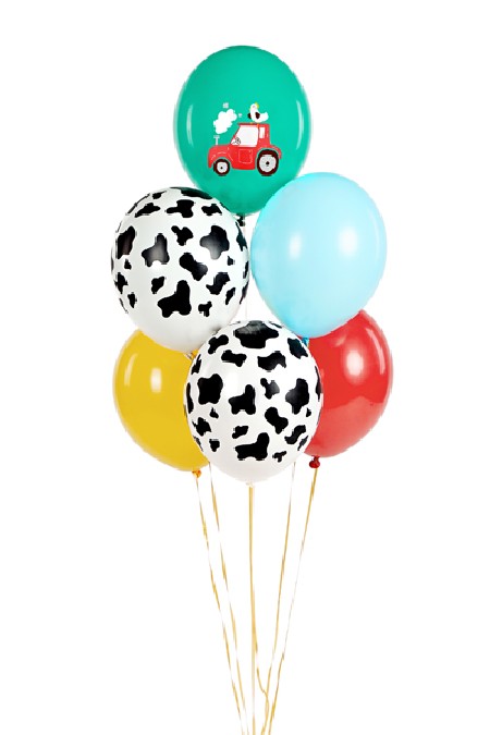 6 Ballons 30 cm - ferme -