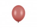 100 Ballons Strong 12 cm - Bourgogne Pastel