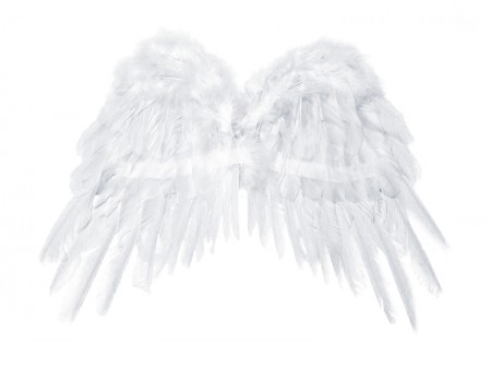 Ailes d'ange - blanches