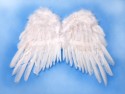 Ailes d'ange - blanches