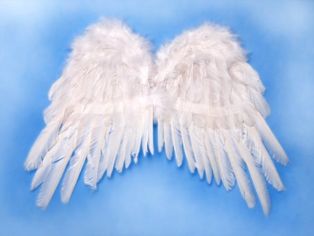 Ailes d'ange - blanches