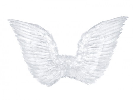 Ailes d'ange - blanches