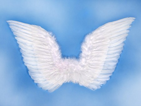 Ailes d'ange - blanches