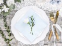 20 Serviettes - bleu