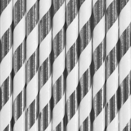 10 Pailles en papier - argent