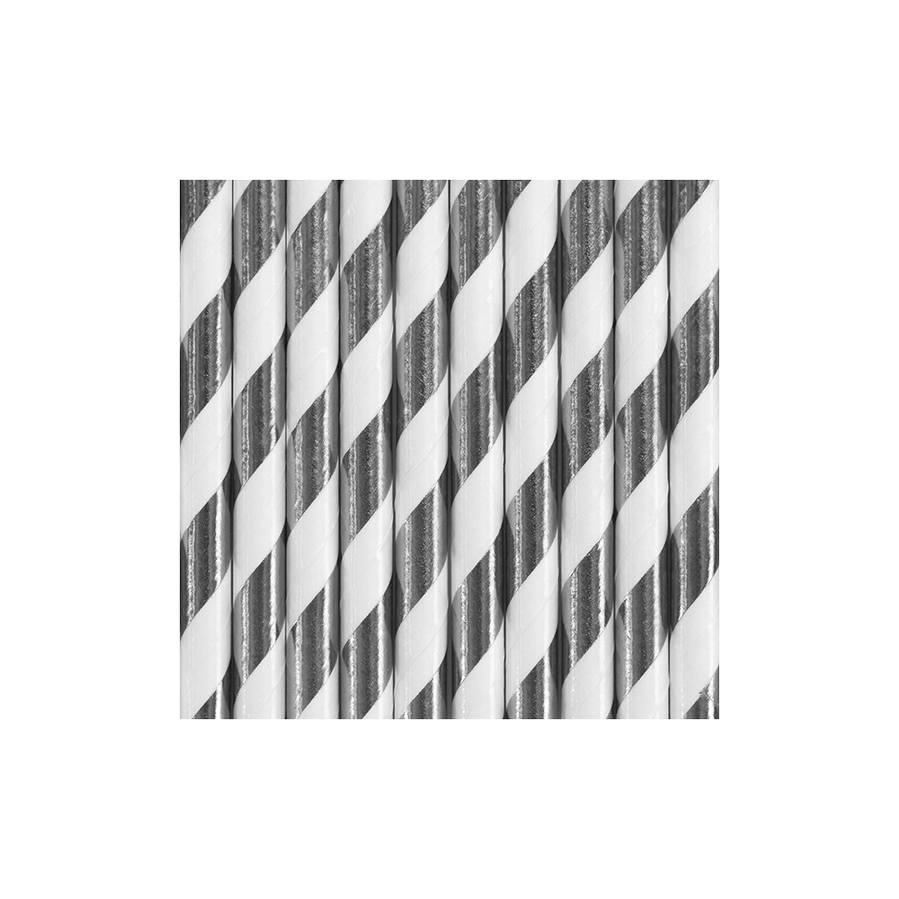 10 Pailles en papier - argent