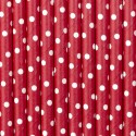 10 Pailles en papier - rouge