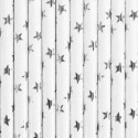 10 Pailles en papier - argent