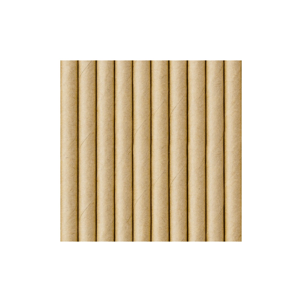 250 Pailles en papier - kraft