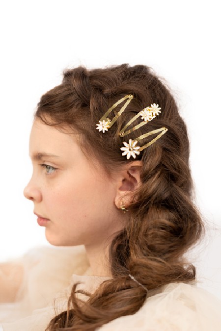 3 Barrettes à cheveux...