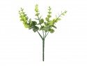 Petit bouquet de branches - Eucalyptus
