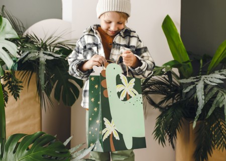 Sac cadeau Dinosaure