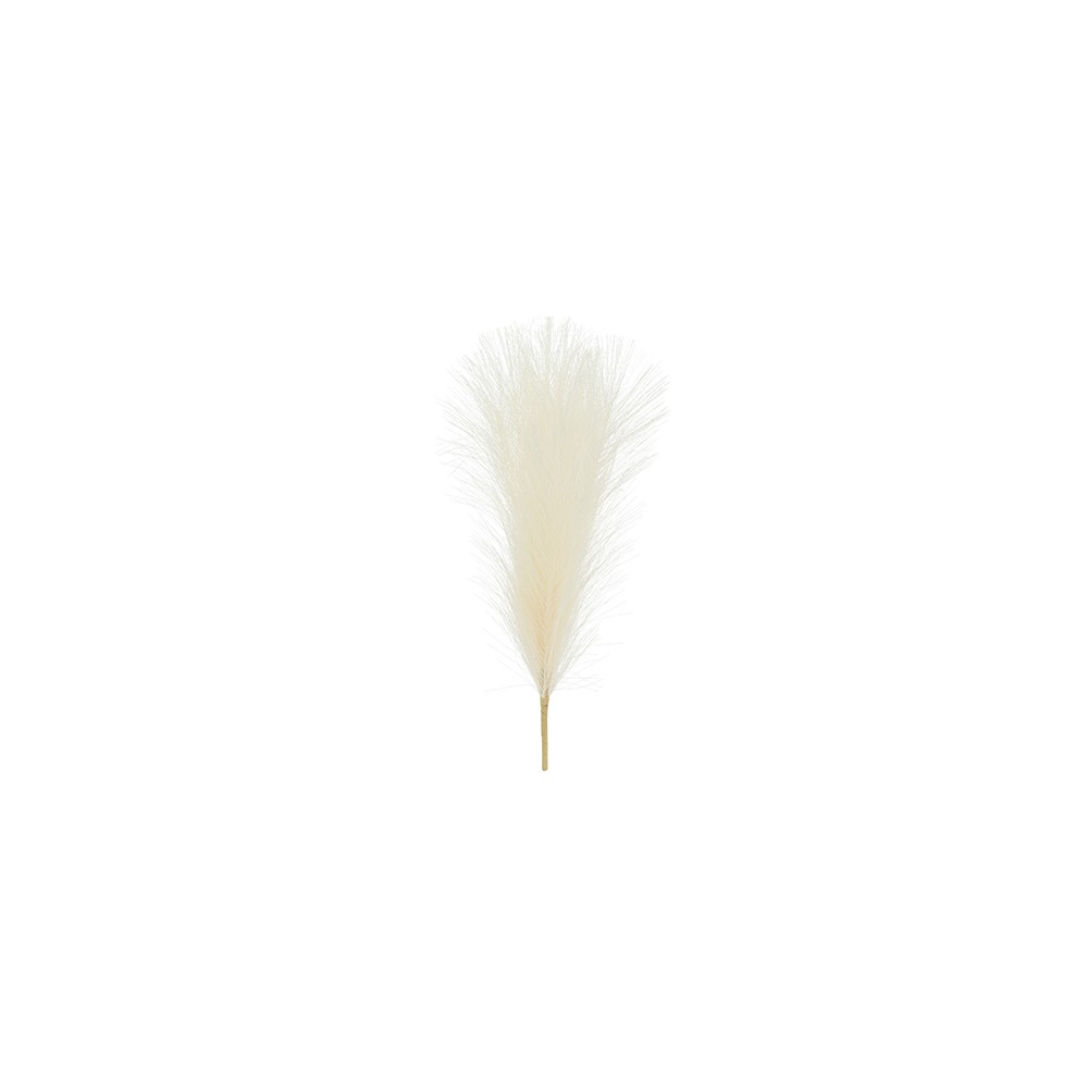 Herbes de pampa artificielles - petit - crème