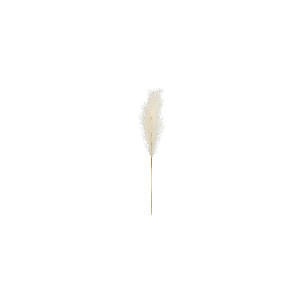 Herbes de pampa artificielles - grand - crème