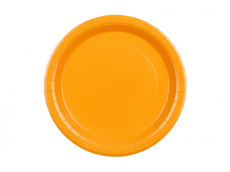 6 Assiettes en papier -...