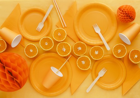 6 Assiettes en papier -...