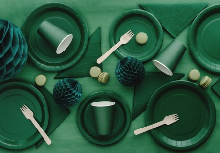 6 Assiettes en papier -...