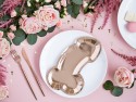 6 Assiettes Same penis forever - or rose
