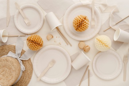 6 Assiettes en papier -...