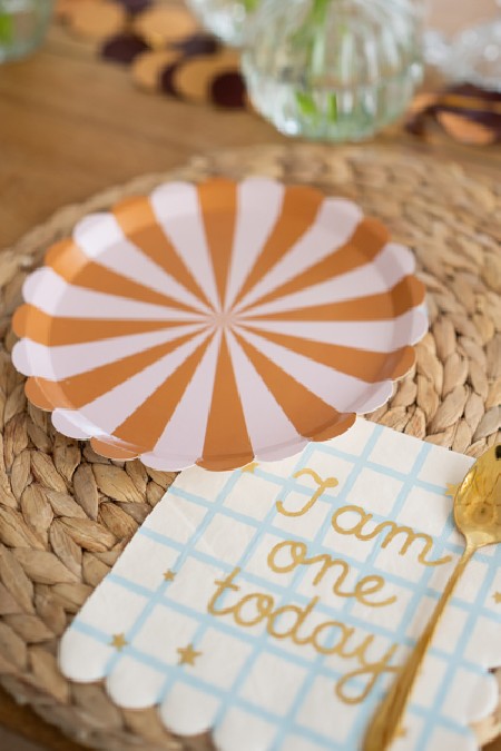6 Assiettes Rayons rose et...