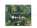 21 feuilles tropicales en papier