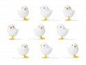 9 Poussins de Pâques, blanc, 7 cm