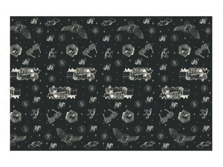 Nappe en papier Harry...