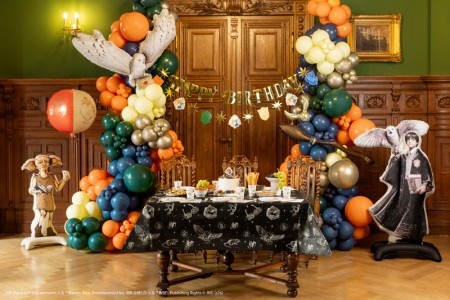 Nappe en papier Harry...