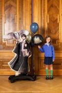 Ballon aluminium sur pied Harry Potter avec Hedwige, 90x145 cm, noir