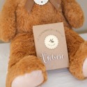 Calendrier de l’Avent personnalisé avec ours en peluche XXL de 90 cm et boîte réutilisable, vue d’ensemble