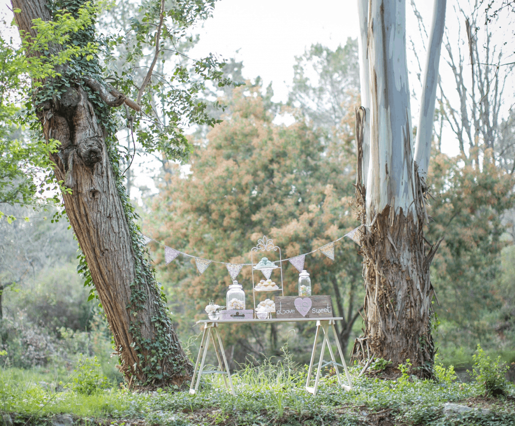 candy bar dans les bois