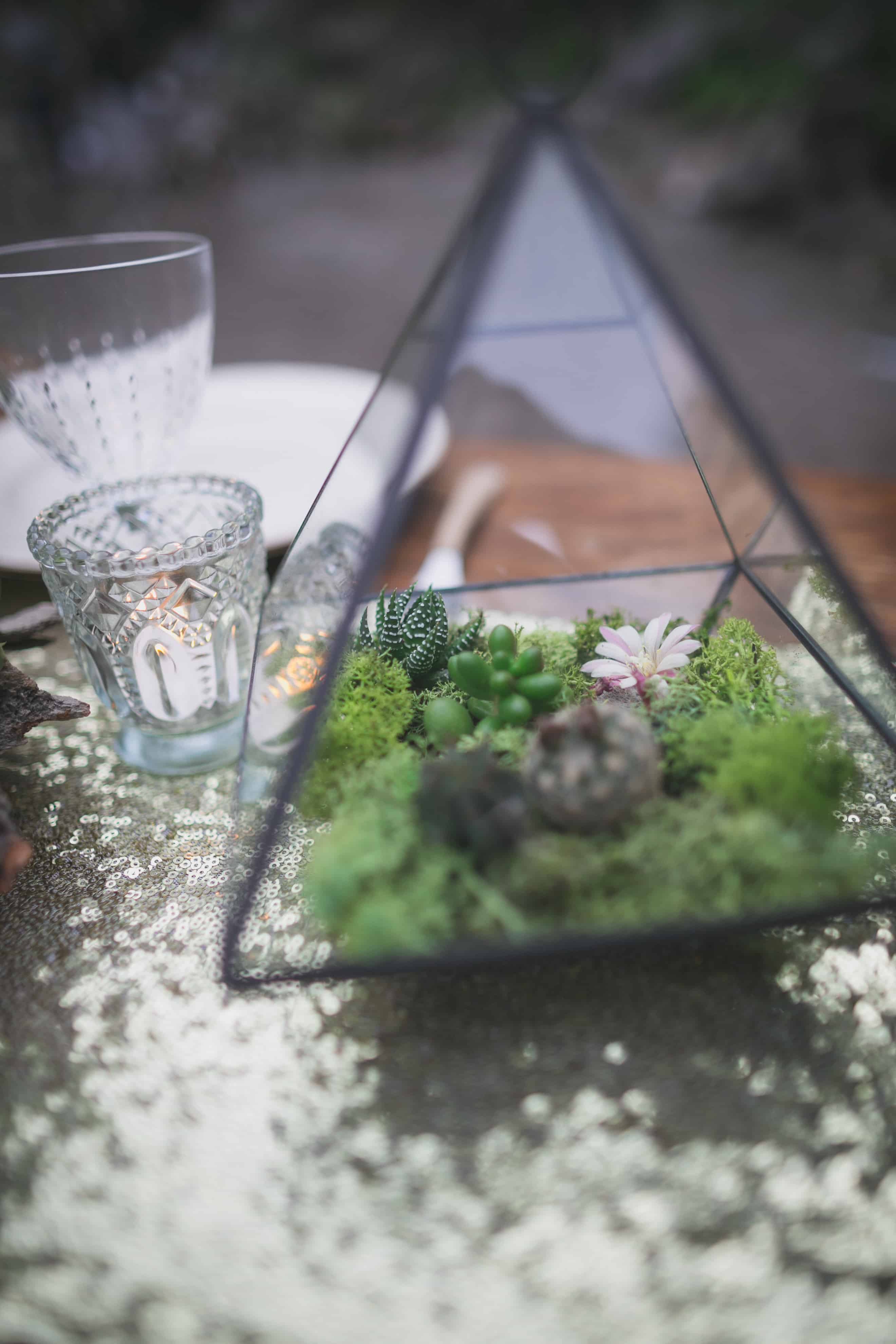 terrarium mariage
