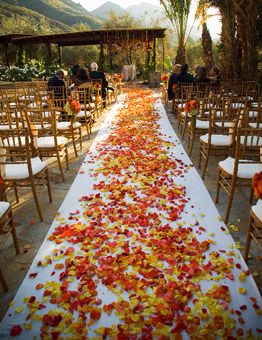 chemin de feuilles mortes mariage
