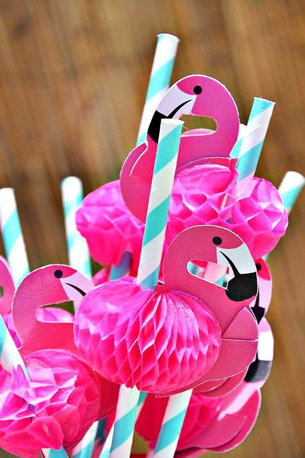 flamingo pailles