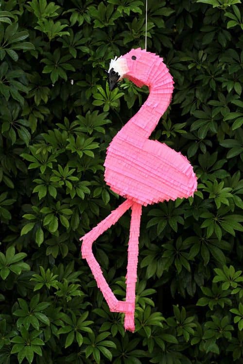 flamingo pinata